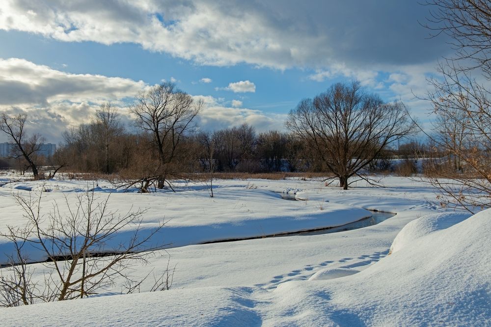 Photograph by Михаил Косолапов