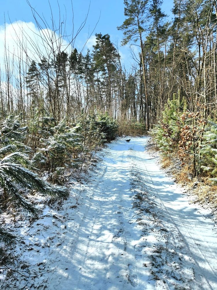 Photograph by Оксана Боднарчук