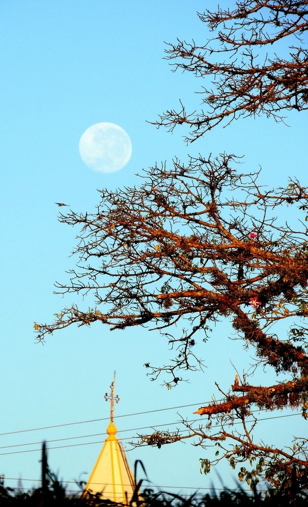 Photograph by Meire Costa