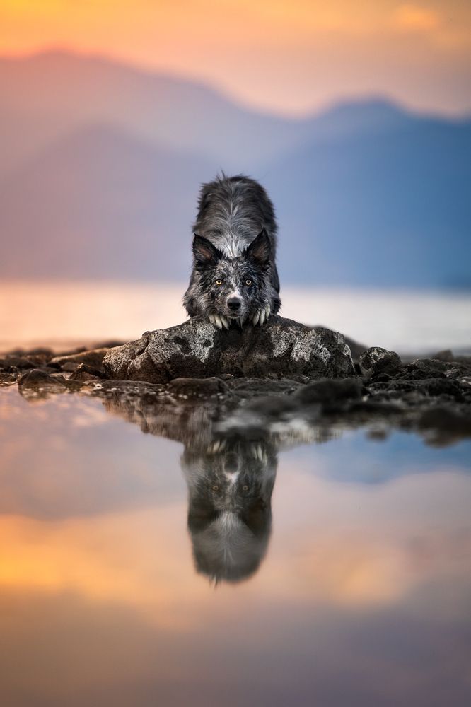 Photograph by Alessia Monaco