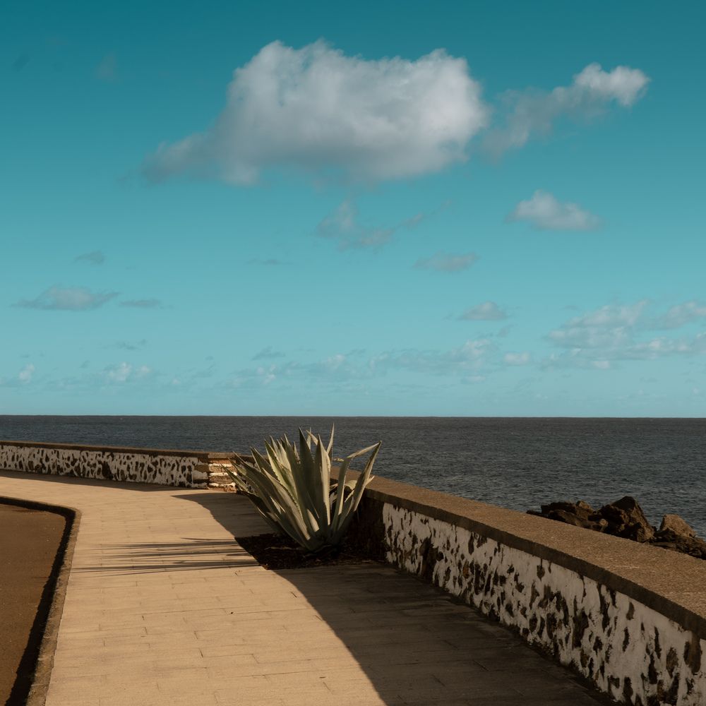 Фотография автора Laurénia Rosa