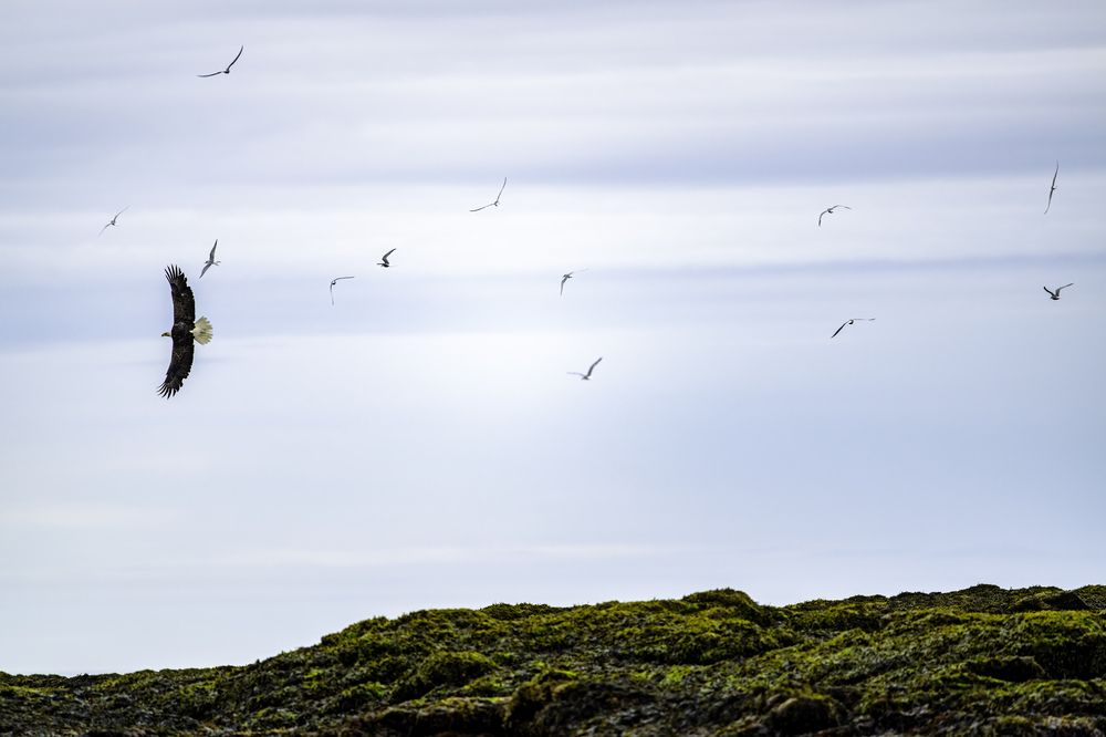 Photograph by Miller Dave