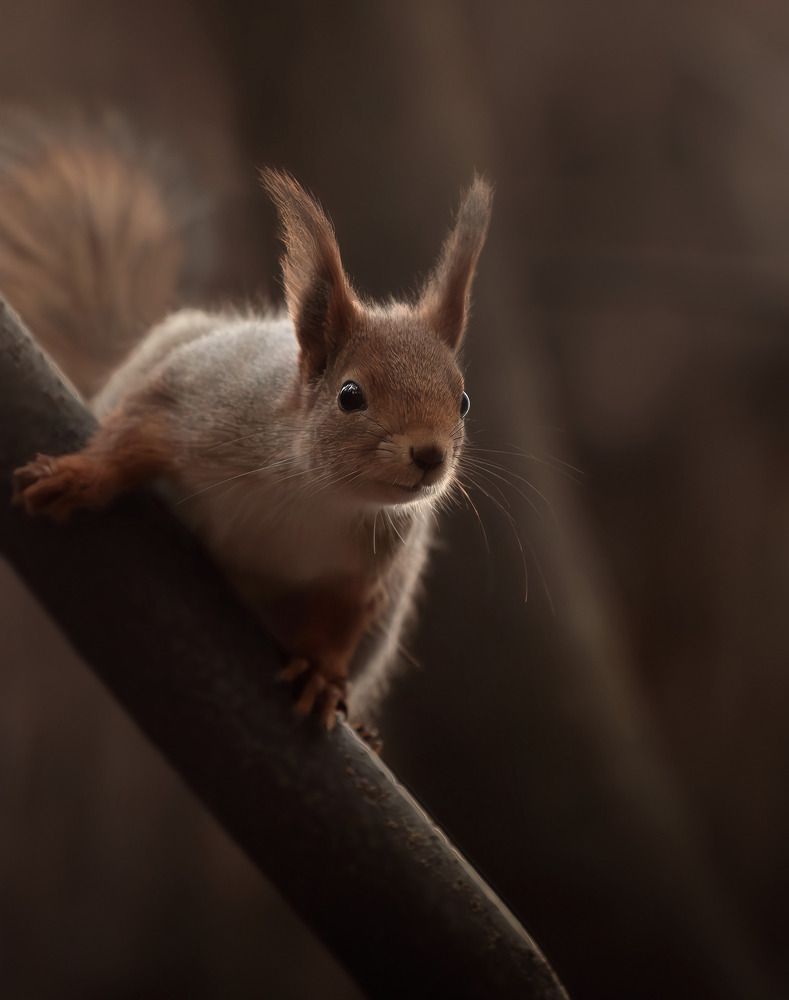 Photograph by Анна Орлова