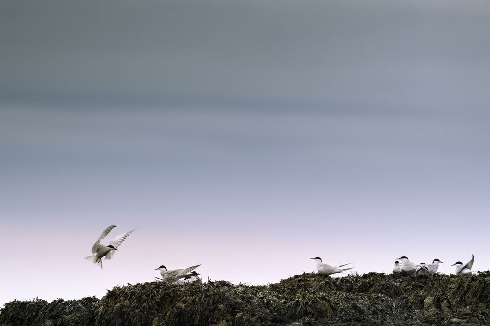 Photograph by Miller Dave