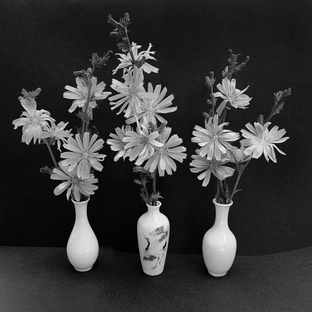 Photograph by Ионова Татьяна