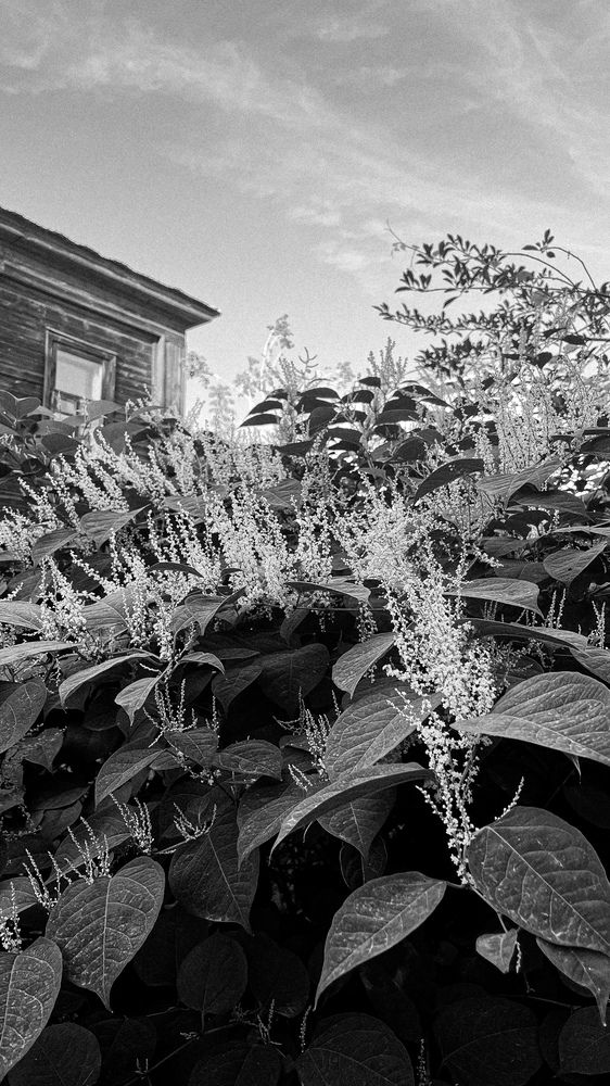 Photograph by Анастасия Рудницкая