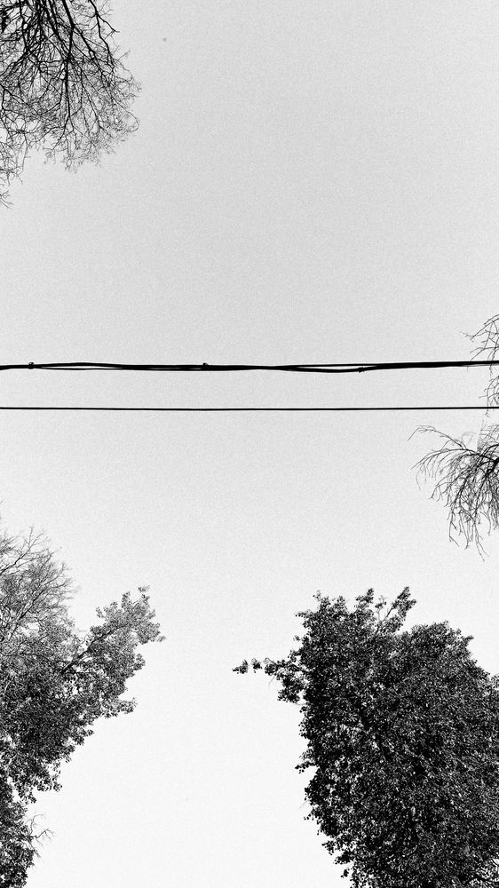 Photograph by Анастасия Рудницкая