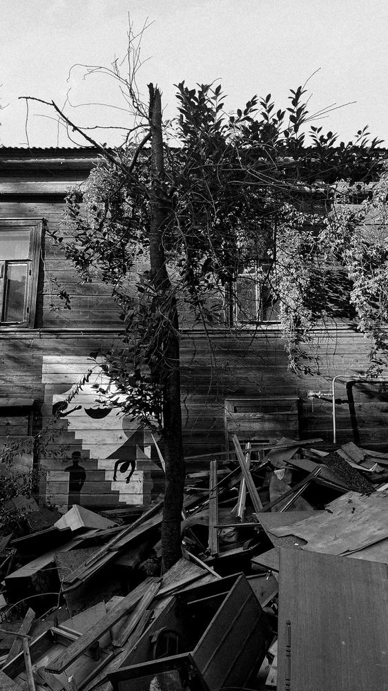 Photograph by Анастасия Рудницкая