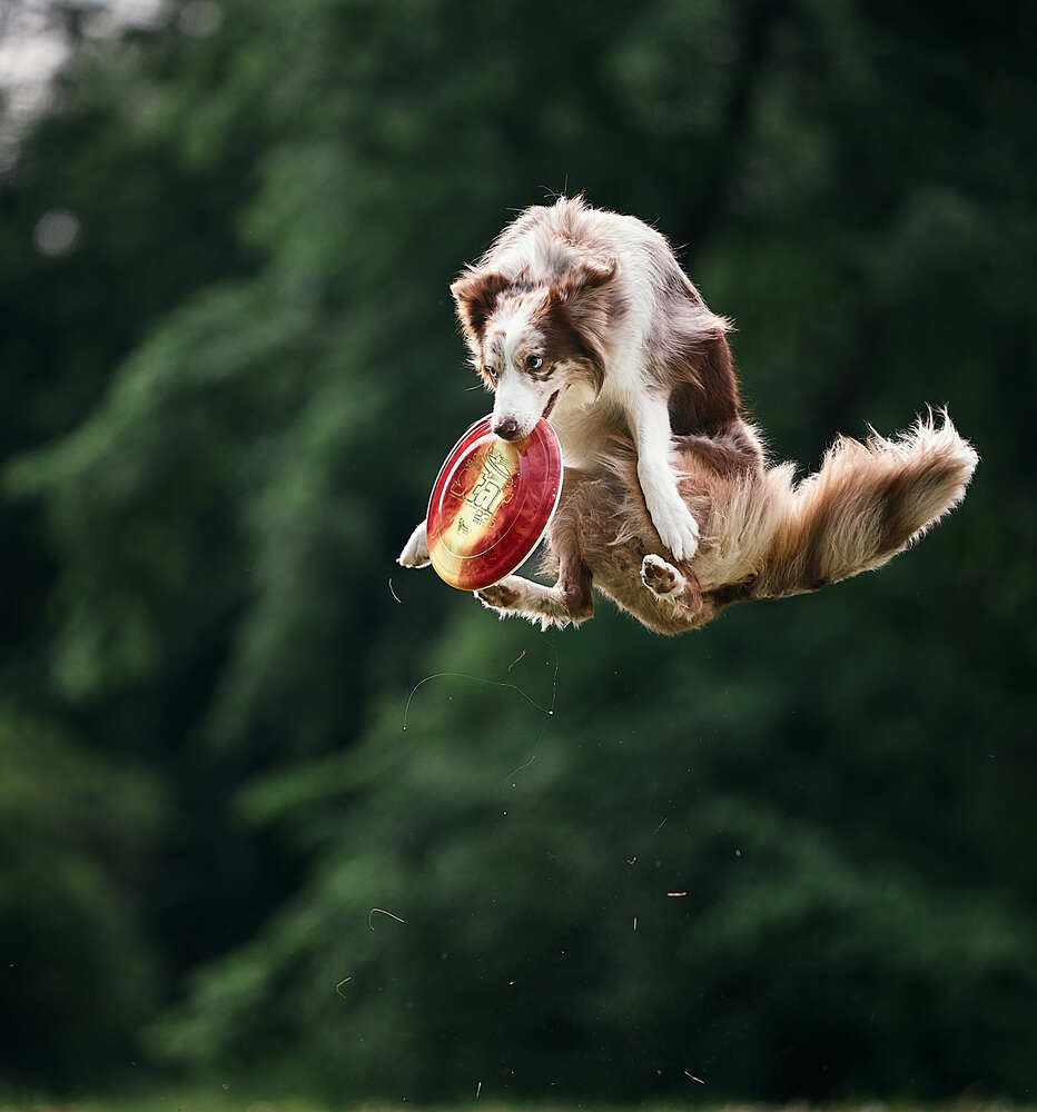 Photograph by Mikhail Khmelevskiy