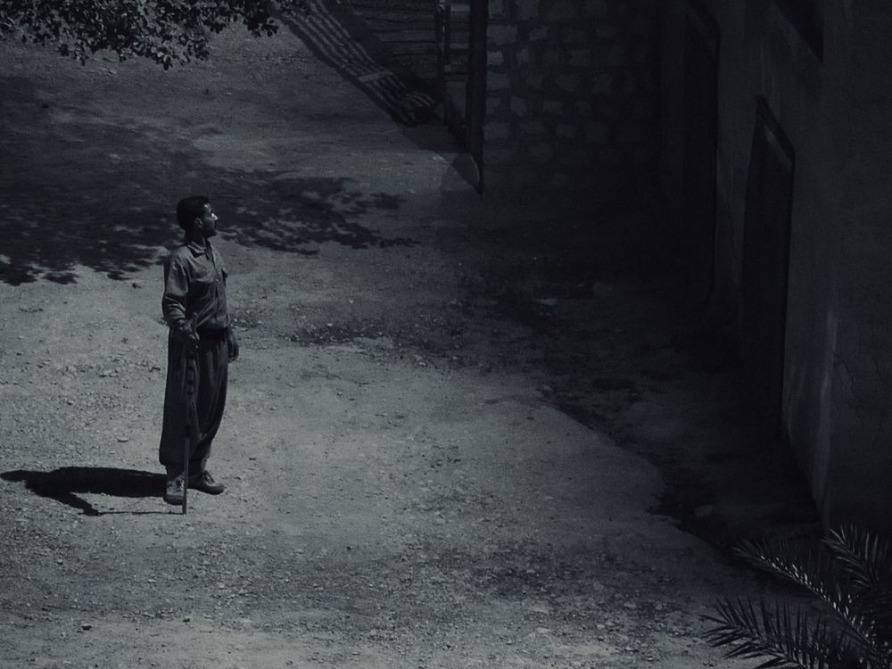 Photograph by Ali Ghaedi