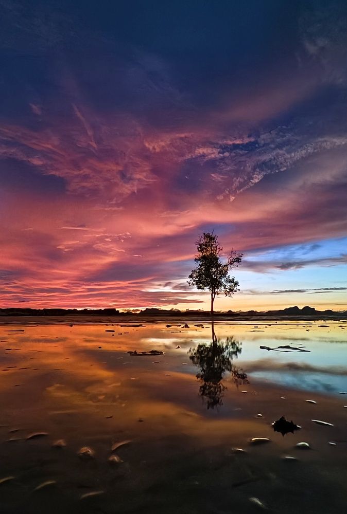 Фотография автора Светлана Зимина