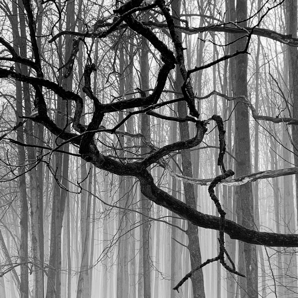 Photograph by Ионова Татьяна