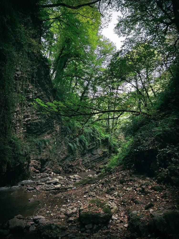 Photograph by Mohammad Reza Nouri