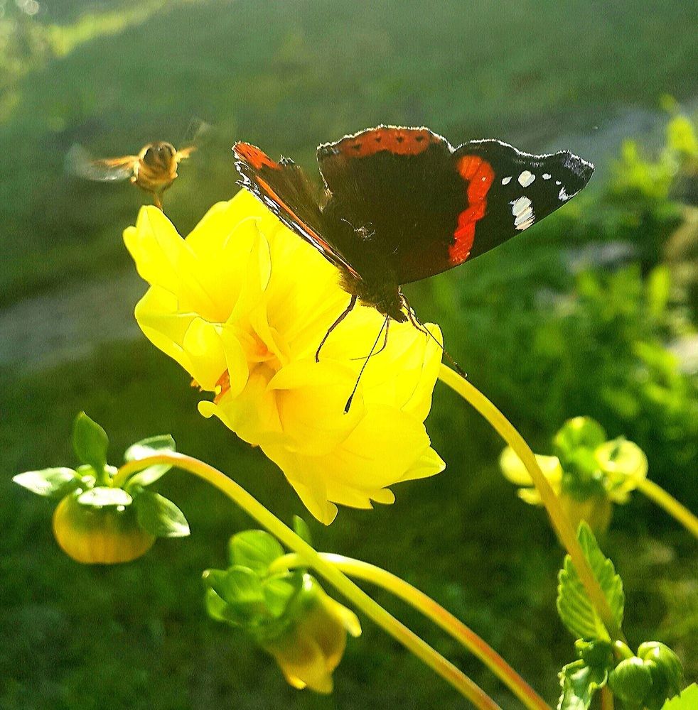 Photograph by Мария Муравьева