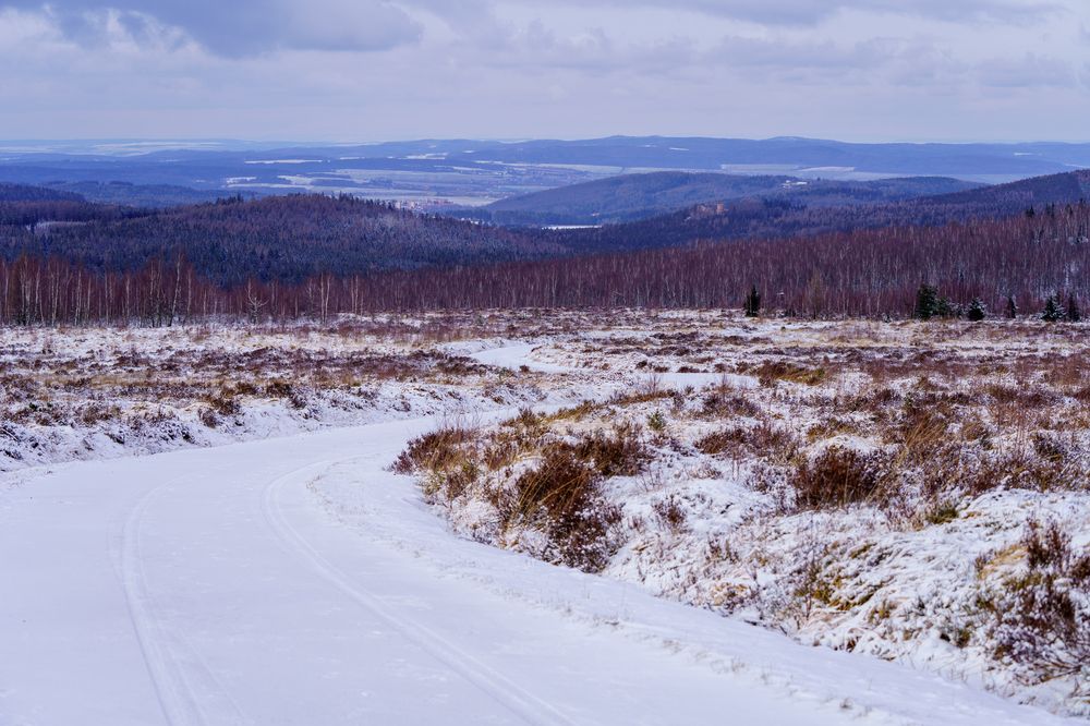 Photograph by Luis Francisco Bravo Olazabal