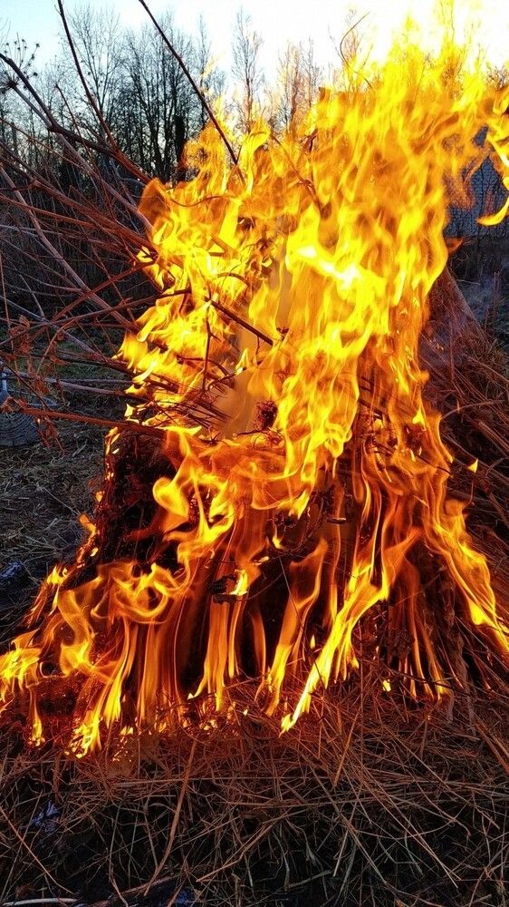 Photograph by Ия Дирко