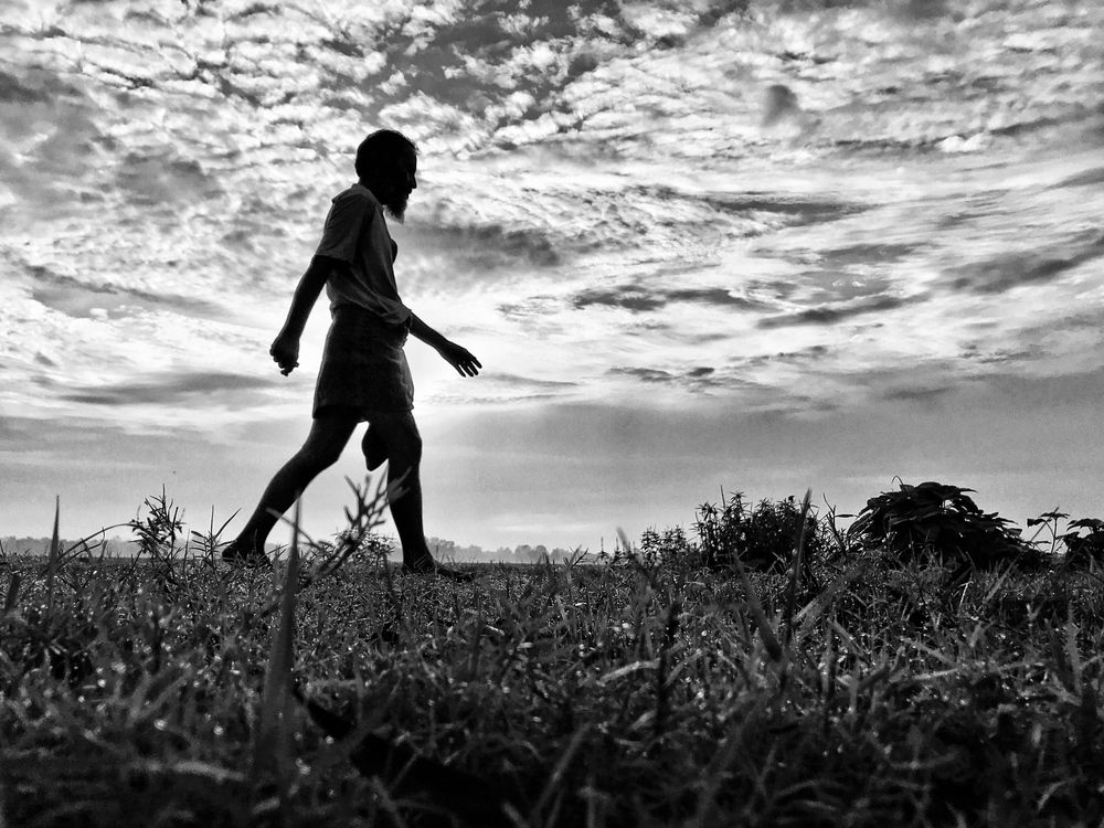 Photograph by MD SALLIM MONDAL RAJON