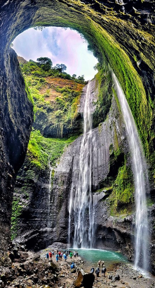 Фотография автора Светлана Зимина