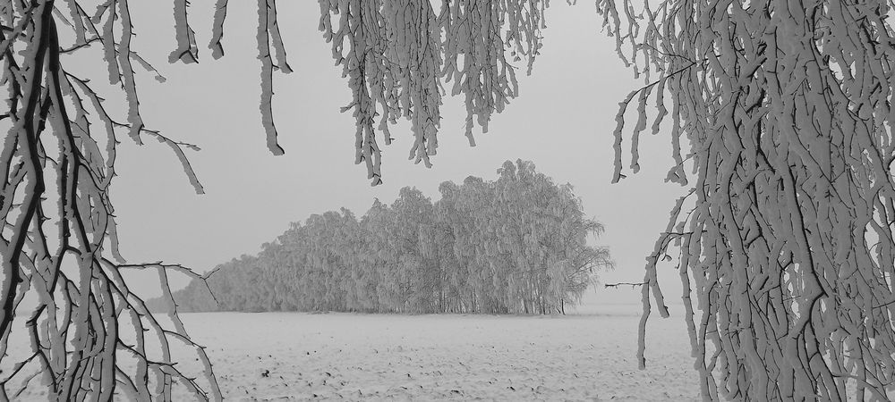 Фотография автора Александр Кожевников