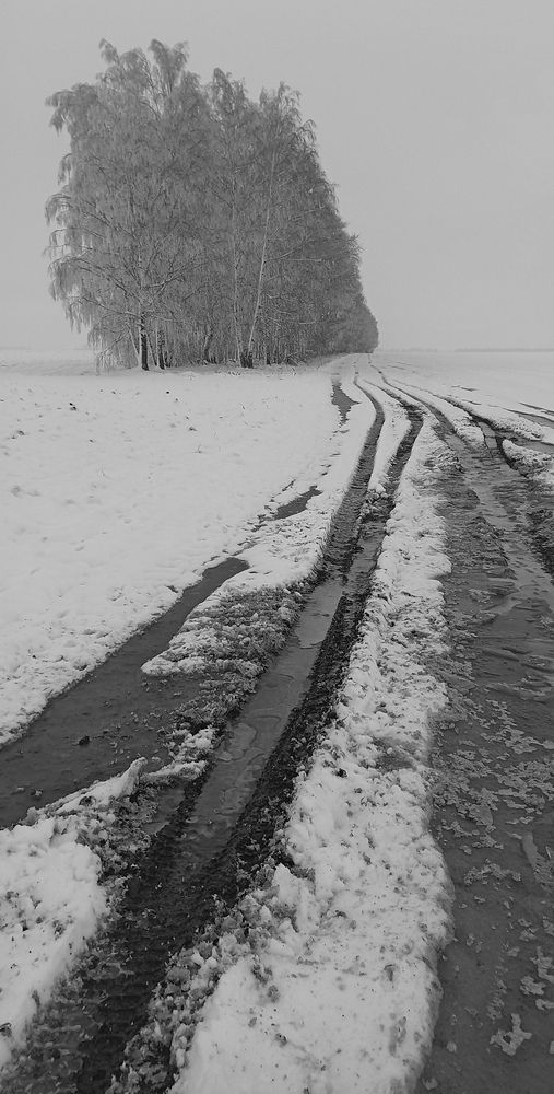 Фотография автора Александр Кожевников