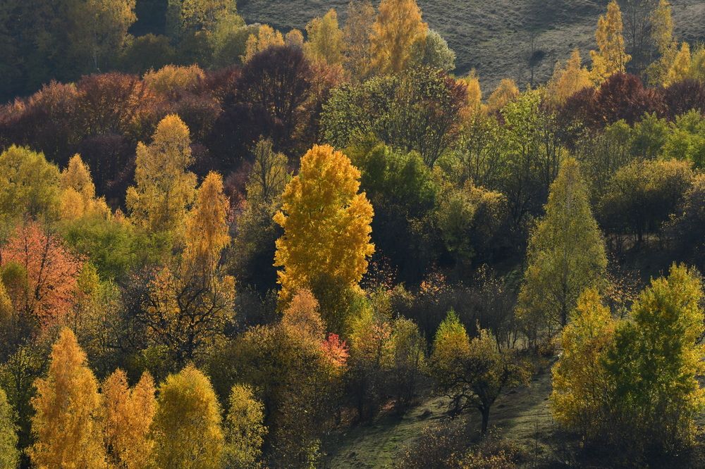 Photograph by Ciornei Simona Maria