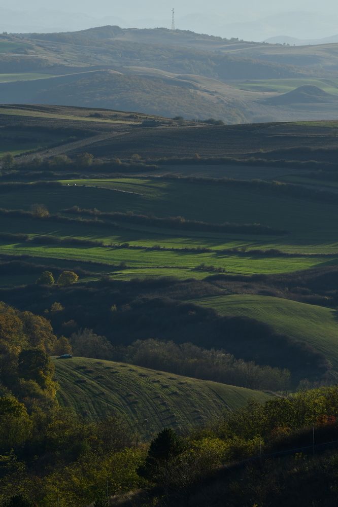 Photograph by Ciornei Simona Maria