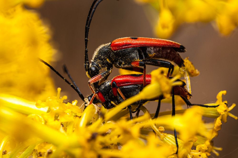 Photograph by Alberto