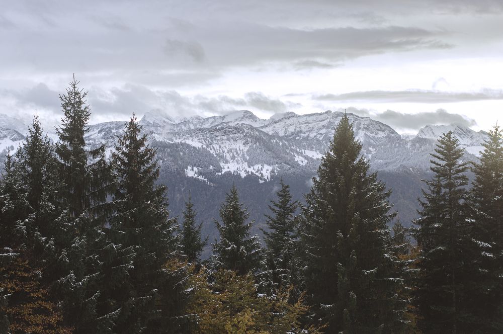 Фотография автора Вера Базилевская