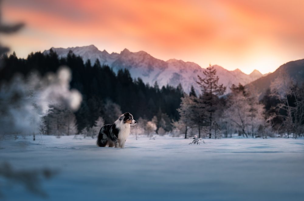 Photograph by Alessia Monaco