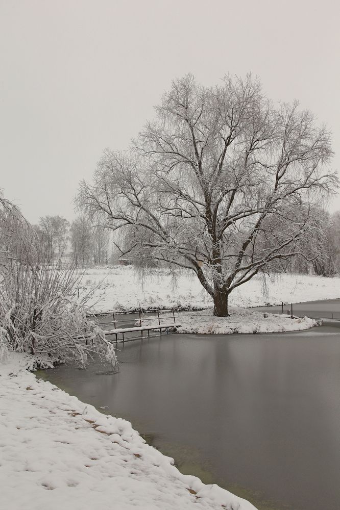 Фотография автора Александр Кожевников