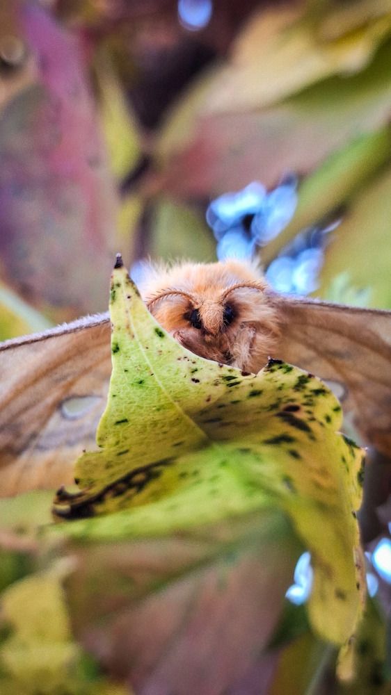 Photograph by Tatiana Kirillova