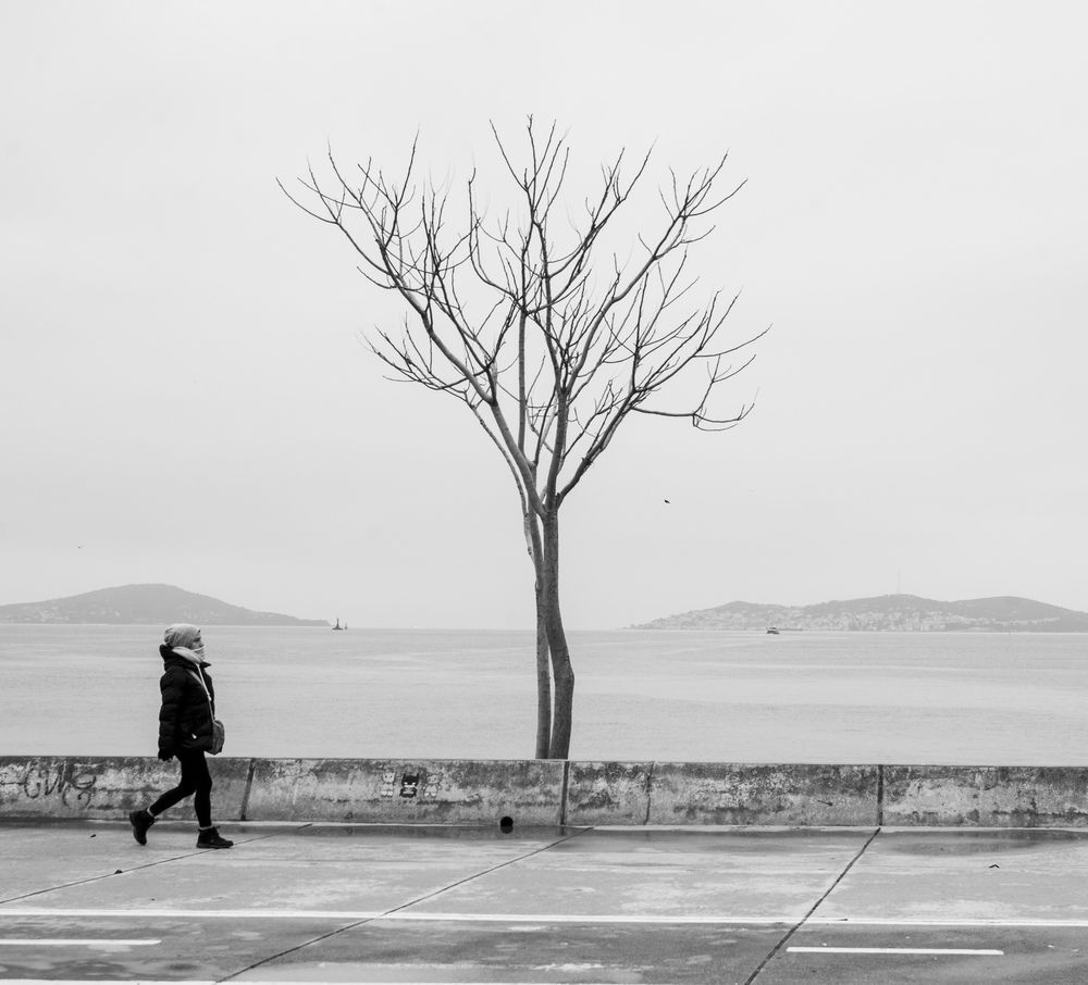 Photograph by Bekir istemi