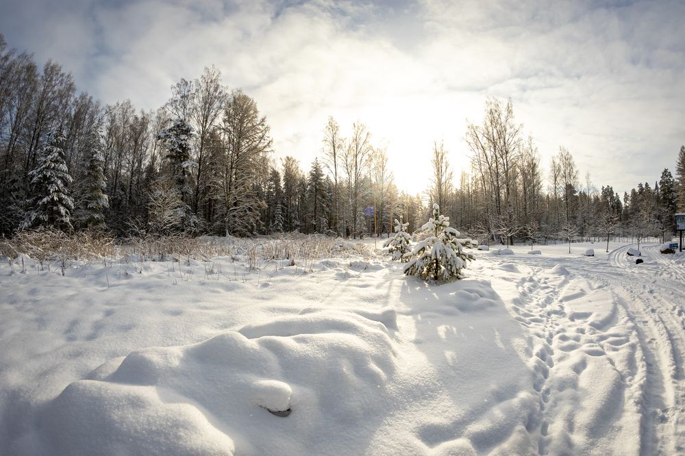 Photograph by Ксения Попова