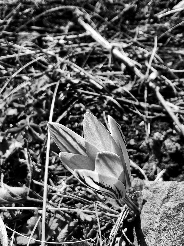 Photograph by Андрей Прокопенко