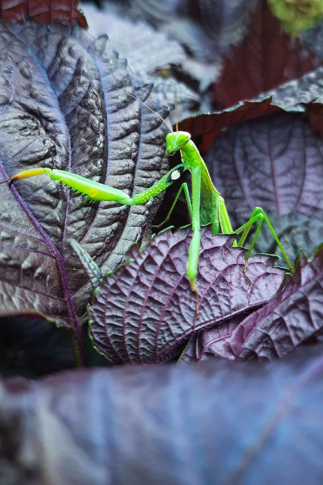 Photograph by Tatiana Kirillova