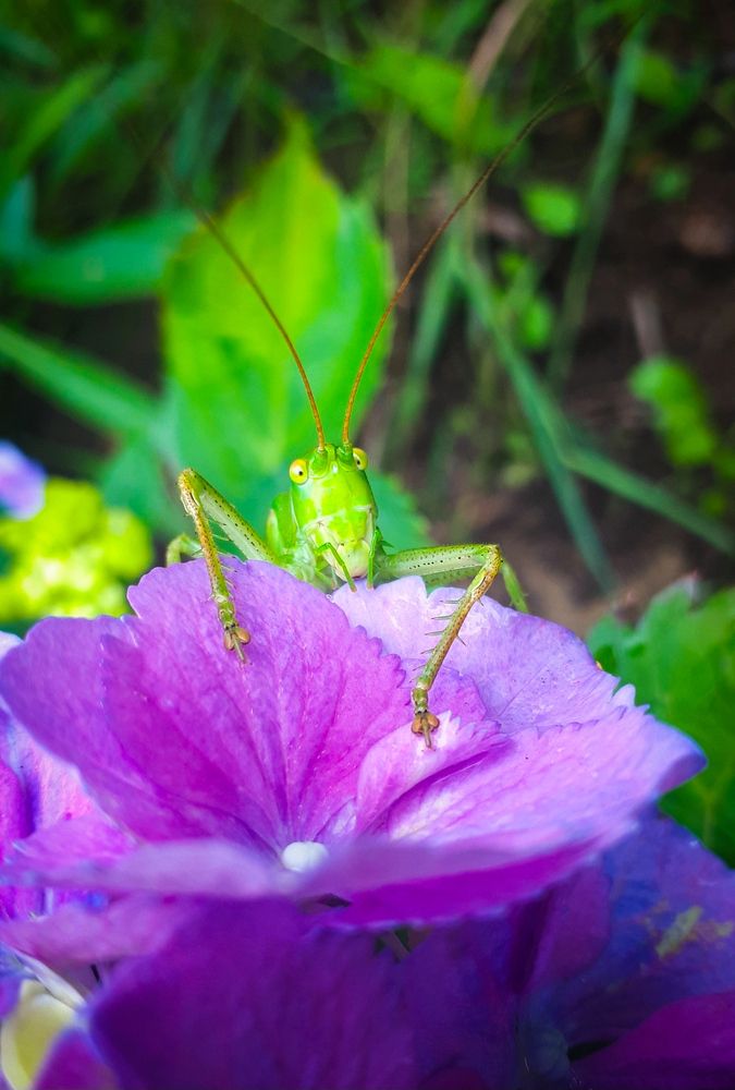 Photograph by Tatiana Kirillova