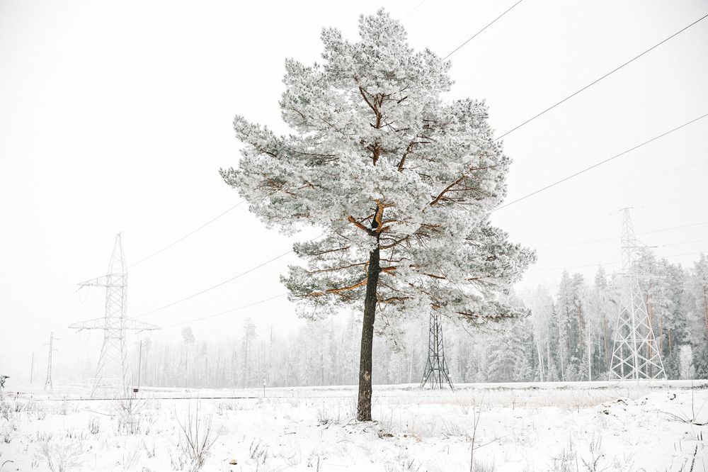 Photograph by Вероника