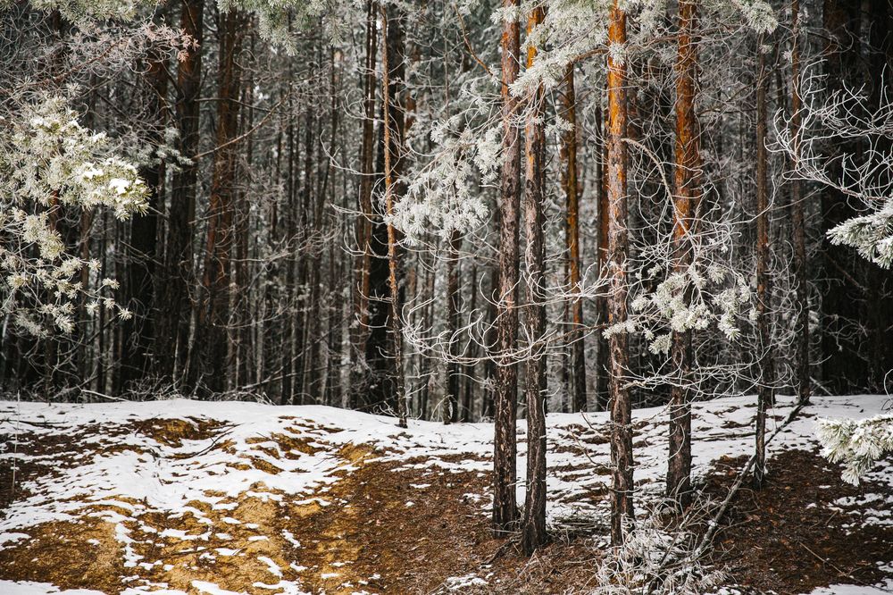 Photograph by Вероника