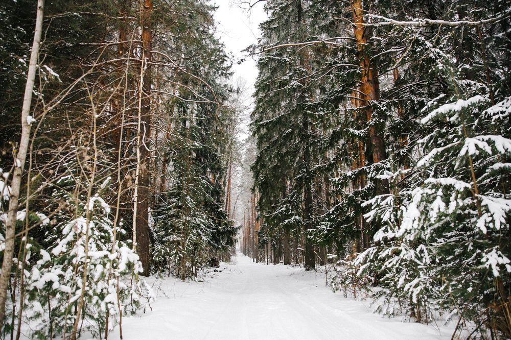 Photograph by Вероника