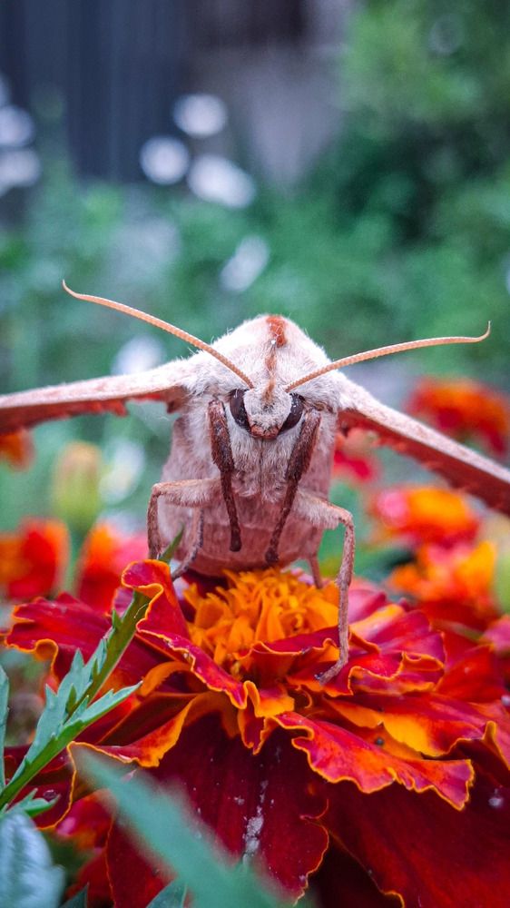 Photograph by Tatiana Kirillova