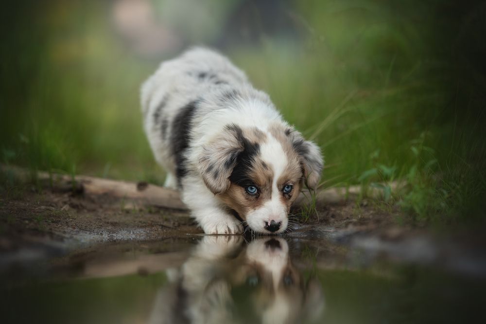 Photograph by Людмила Богуш