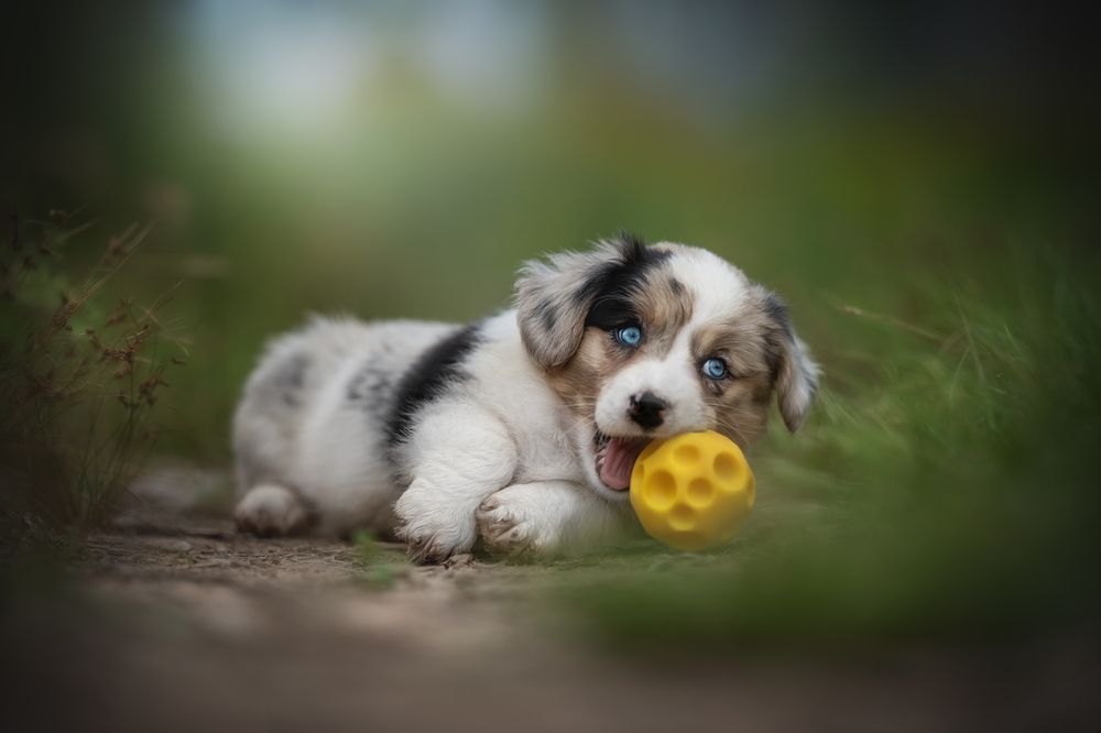 Photograph by Людмила Богуш