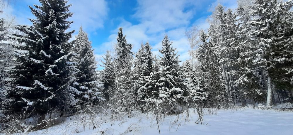 Photograph by Светлана Цапина