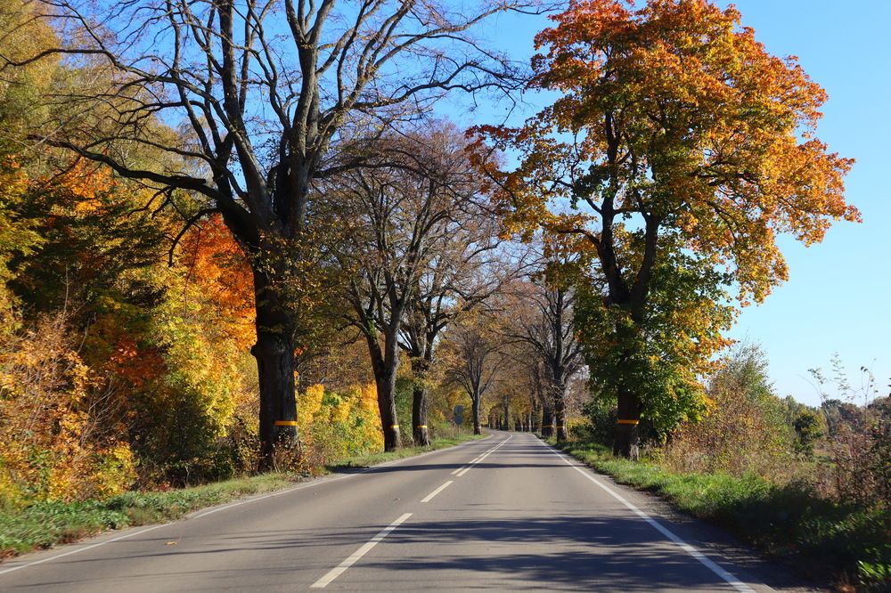 Photograph by Вероника