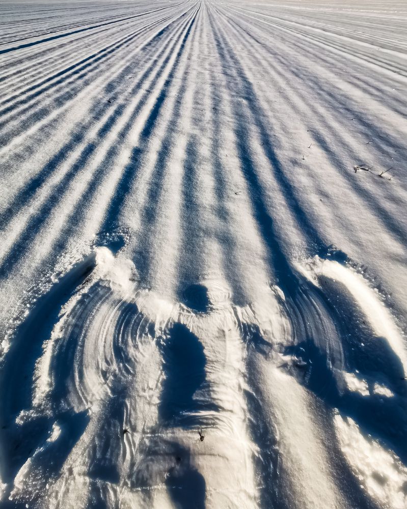 Photograph by Irina Tischer