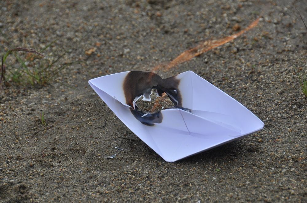 Photograph by Евгений Захаров