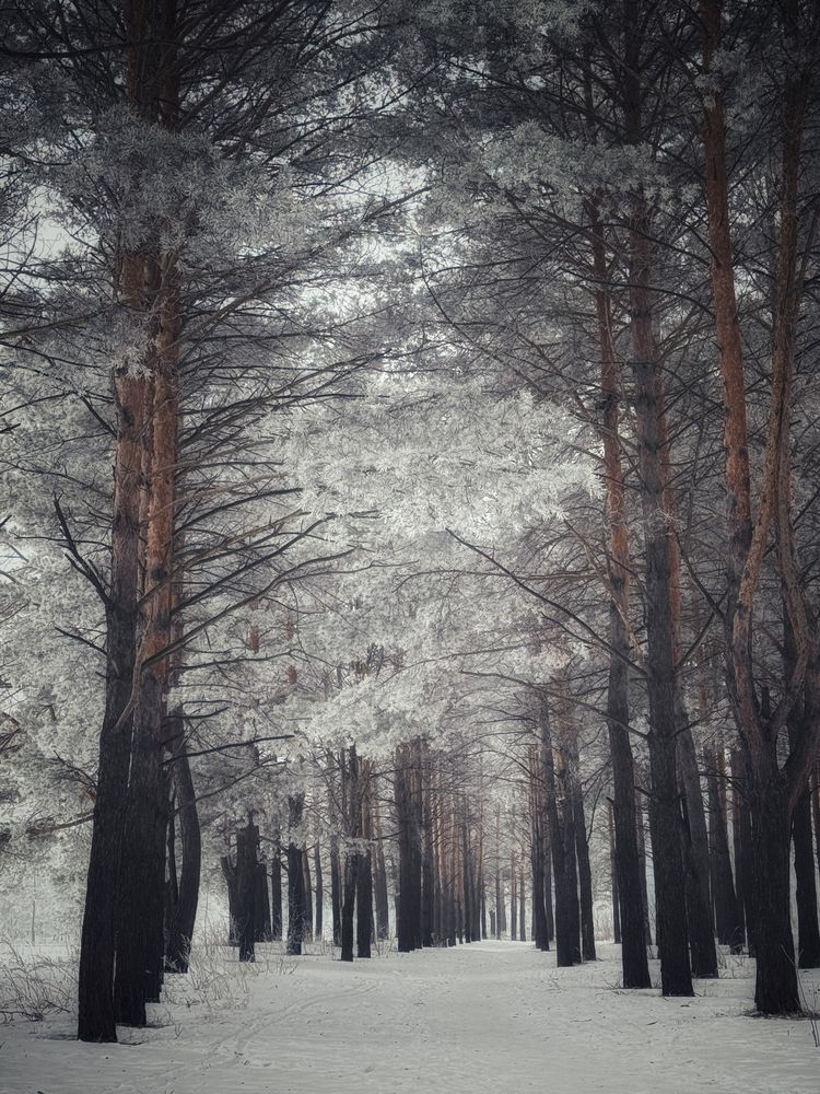 Photograph by Кира Бахвалова