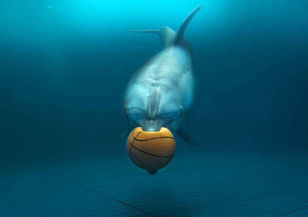 Photograph by Kaisyakuji Yushi