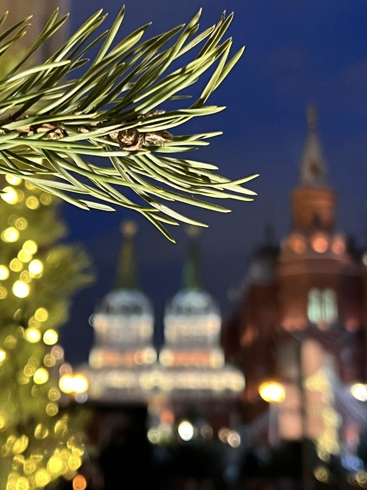 Photograph by Табунова Клавдия