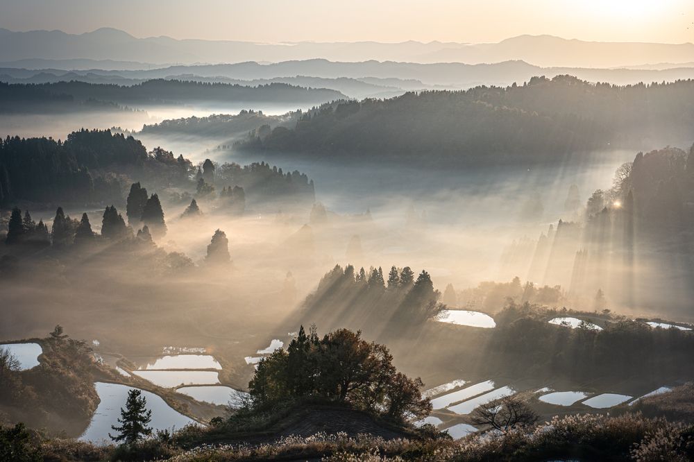 Photograph by 南雲 柊人